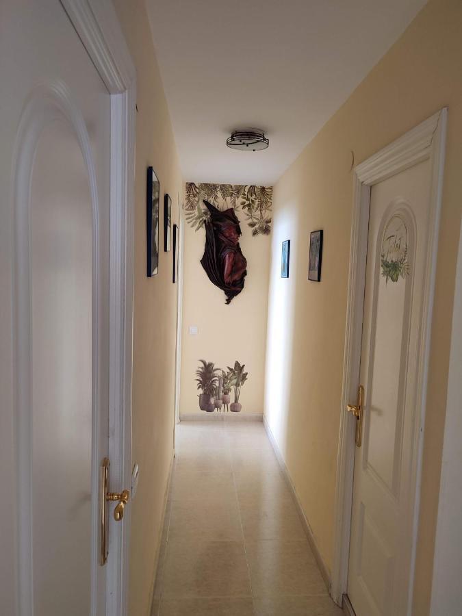 Apartamento En Playa Semi-Privada Benalmádena Extérieur photo